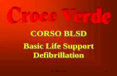 CORSO BLSD Basic Life Support Defibrillation · CORSO BLSD Basic Life Support Defibrillation . ... Rianimazione Cardio Polmonare DAE Defibrillatore Automatico Esterno . Inf. Sartor