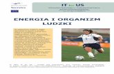 ENERGIA I ORGANIZM LUDZKI - Project IT for US PL.pdf · Głównym źródłem energii dla organizmu ludzkiego jest pożywienie. Energia ukryta w żywności jest rozważana jako energia