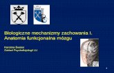 Biologiczne mechanizmy zachowania I. Anatomia funkcjonalna ...zpf.psychologia.uj.edu.pl/biopsy/prezentacje/bmz1_cwicz01.pdf · 4. Terminologia, podział układu nerwowego, anatomia