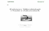 Podstawy Mikrobiologii i Nauki o Zaka eniachsterylizacja.org.pl/pliki/.../ROZDZIAL_2_MIKROBIOLOGIA.pdf · Np. wilgotne ścierki, wilgotne środowisko (krople wody), nieschłodzona