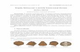 Kopu y historyczne a metody konserwacji drewnabud-arch.pollub.pl/wp-content/uploads/Bud-arch_171_2018_041-048...wkraczają współczesne materiały i technologie. ... wości wynikające