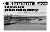Postmodernizacja | Nr 3 (89) MAJ-CZERWIEC 2017 niezależny ...zbs.net.pl/zbs89.pdf · Plan rozwoju zakładał ponadto, że do 2015 r. obsługą SKM objęte zostaną wszystkie linie