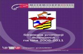 Strategia promocji Sosnowca na lata 2008-2011 · Niniejsza analiza strategiczna została przeprowadzona w celu określenia podstawowych kierunków dla kreacji m arki Sosnowiec. Ze