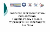 POCZUCIE BEZPIECZEŃSTWA PUBLICZNEGO I OCENA … · Akademia Pomorska w Słupsku: • wypracowanie koncepcji przeprowadzenia badań - w odniesieniu do zastosowanej metodologii, organizacji
