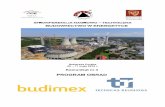 XI Konferencja Budownictwo w Energetyce 8 - 11 maja 2018 ...pzitb.wroclaw.pl/uploads/files/Konferencje/Budownictwo w Energetyce... · Projektowanie i realizacja deskowań dla masywnych