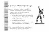 1.Funkcje układu mięśniowego - ESPZiWPespz.pl/materialy/uklmiesniowy.pdf · b.statyczną–zmienia sięjedynie napięcie mięśni np. podczas siedzenia, stania. ... Anatomia i