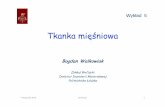 Wykład 5 - biofizyka.p.lodz.plbiofizyka.p.lodz.pl/prezentacje/wyklad_6_tkanka_miesniowa.pdf · Do mięśni gładkich docierają motoryczne systemu autonomicznego i mogą je stymulować
