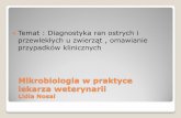 Mikrobiologia w praktyce lekarza weterynarii - ucmw.urk.edu.pl · -płynoterapia (Ringer + Mleczany +Metronidazol +preparat z wit B ,Tiaminą i tauryną ) -Sul-tridin -Linco-Spectine