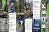 5. Niszczenie grobli i wałów przeciwpowodziowych …gorzow.rdos.gov.pl/files/artykuly/14049/RDOS_Gorzow_ulotka_bobr.pdf · Niszczenie grobli i wałów przeciwpowodziowych wskutek