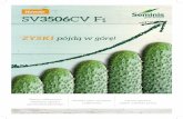 Nowość SV3506CV F - Cloud Object Storage | …€¢ dobra zdolność regeneracji rośliny przez cały okres wegetacji OWOCE: • owoce z grubą brodawką, o długości 11-12 cm i
