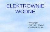 ELEKTROWNIE WODNE - zamek.krapkowice.pl · Elektrownia Wodna: zakład przemysłowy zamieniający energię potencjalną wody na elektryczną. Elektrownie wodne są najintensywniej