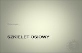 SZKIELET OSIOWY - archeo.uw.edu.pl · SZKIELET LUDZKI • szkielet osiowy — skeleton axiale • szkielet kończyn — skeleton appendiculare