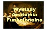 Wykłady Anatomia Funkcjonalna - test.awf-gorzow.edu.pl · Anatomia (grec. anatemnein= rozcinać, rozczłonkowywać) Przedmiotem anatomii: człowiek, zwierzęta, rośliny, Anatomia