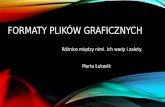 Formaty Plików 5 - nanophysics.pl · Inną nazwą grafiki wektorowej jest grafika obiektowa. W grafice wektorowej wszelkie obrazy tworzone są za pomocą prymitywów. Najprostszym