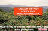 Dzika róża – lekarstwo XXI wieku? - fundacjapolskaroza.plfundacjapolskaroza.pl/wp-content/uploads/2014/11/prezentacje-EM.pdf · Dieta warzywno - owocowa . Marchew 2,6 seler 5,0