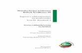 Morska farma wiatrowa Bałtyk Środkowy III Raport o ...portalgis.gdansk.rdos.gov.pl/morskafarmawiatrowa-BaltykSrodkowyIII... · 12.1.6. Obszary Natura 2000 w strefie oddziaływań