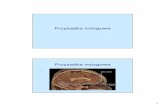 Przysadka mózgowa - pracownicy.uwm.edu.plpracownicy.uwm.edu.pl/wasowicz/pc5.pdf · 5 Przysadka mózgowa • Podwzgórze • Somatoliberyna (GH-RH) • Gonadoliberyna (GnRH) • Kortykoliberyna