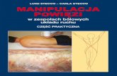 LUIGI StECCO – CarLa StECCO MANIPULACJA POWIĘZI (2( Polska.pdf · Manipulacja powięzi – wskazania i przeciwwskazania 58 rozdział 3. sekwencja mięśniowo-powięziowa ruchu