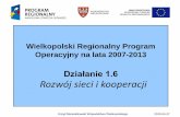 Wielkopolski Regionalny Program Operacyjny na lata 2007-2013poig.parp.gov.pl/files/74/108/277/374/7900.pdf · Wielkopolski Regionalny Program Operacyjny na lata 20072013,-3. Szczegółowy
