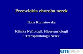 Ilona Kurnatowska Klinika Nefrologii, Hipertensjologii i ... prelekcja stud... · • Choroby układu sercowo-naczyniowego w trakcie leczenia lub niemożliwe do wyleczenia • Aktywne
