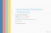 Instytut Biologii Molekularnej i Biotechnologiiibmib.home.amu.edu.pl/wp-content/uploads/2017/10/ibmib.2017.pdf · BIOLOGIA MOLEKULARNA BIOTECHNOLOGIA BIOCHEMIA BIOINFORMATYKA Z. Biochemii