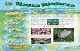 Czasopismo Biebrzańskiego Parku Narodowego dla dzieci i ...18,numer-22-wiosna-lato-2007.pdf · Po co żabom płotki? Nadchodzące lato wita nas wieloma świę-tami – tuż przed