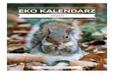 Pakiet edukacyjny - Jesień - ekokalendarz.pl„... · Dodatkowo uczniowie oglądają korę drzewa, a jeśli jest taka możliwość, to również owoce lub kwiaty. Gdy drzewo zostało