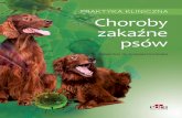 PRAKTYKA KLINICZNA Choroby zakaźne psów - edraurban.pl · Choroby zakaźne psów ... Objawy ze strony układu pokarmowego ... ba higiena, stres, predyspozycje rasowe (zob. ramka
