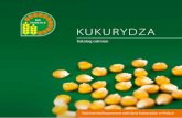 KUKURYDZA - HR Smolice · dzić prezentacje polowe organizowane corocznie przez firmy nasienne w wielu rejonach kraju, gdzie jest okazja „na żywo” przyjrzeć się i porównać