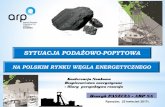 Szanse JSW S.A. w nowej sytuacji rynkowej - instytutpe.pl · elektrownie zawodowe cieplne na węglu kamiennym 50% elektrownie zawodowe cieplne na węglu brunatnym 32% elektrownie