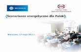 Scenariusze energetyczne dla Polski - CASE · Elektrownie zawodowe wodne: 2,8 3,2 2,5 Elektrociepłownie przemysłowe: 8,2 8,9 9,0 ... Sprzedaż* Elektrownie kondensacyjne: ... Zużycie