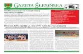 Policjanci doradzą seniorom - umig.slesin.plumig.slesin.pl/media/file/893_pl_gazeta-5.2015.pdf · na realizowanie własnych pomysłów, rozwój przedsiębiorczości oraz utworzenie