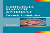 Chirurgia małych zwierząt - agroswiat.pl · Podstawy chirurgicznego leczenia chorób przełyku ... Rodzaje wytrzewień ... Dobór materiału do szycia w operacjach urologicznych