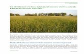 6510 Niżowe świeże łąki użytkowane ekstensywnie ... · Donitoring gatunków i siedlisk przyrodniczych ze szczególnym uwzględnieniem specjalnych obszarów ochrony siedlisk
