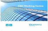 CNC Working Centre - polver.eupolver.eu/wp-content/uploads/2018/10/Pratica-Plus_EN-PL_HR-min.pdf · • Obróbka krawędzi i polerowanie promieniowe na prostej i / lub zakrzywionej