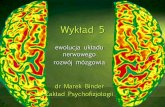 Wykład 5 - zpf.psychologia.uj.edu.plzpf.psychologia.uj.edu.pl/biopsy/prezentacje/bmz1_wyk05.pdf · ewolucja układu nerwowego rozwój mózgowia dr Marek Binder Zakład Psychofizjologii.