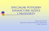SPECJALNE POTRZEBY EDUKACYJNE DZIECI - treningmozgu.pl · i młodzieży wynikają z ich niepełnosprawności lub są efektem innychprzyczyn w uczeniu si ... w szczególności zasady,