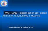 WSTRZĄS – patomechanizm, obraz kliniczny, diagnostyka i ...chirurgia3.cm-uj.krakow.pl/cm/uploads/2017/12/wstrzas.pdf · III Klinika Chirurgii Ogólnej UJ CM. Wstrząs - definicja