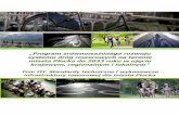 „Program zrównoważonego rozwoju systemu dróg ...dane.plock.eu/bip//dane/komunikaty/07092011/p_03.pdf · Bezpieczeństwo społeczne ... mostów, kładek i tuneli. ... współczynnik