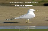 MEWA SIWA - wislawarszawska.plwislawarszawska.pl/wp-content/uploads/2015/09/monografia_mewa_siwa.pdf · (nogi, dziób, obrączka powiekowa) są trudne do zauważenia, możemy pomylić