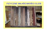 FIZYCZNE WŁA ŚCIWO ŚCI GLEB - pracownik.kul.pl · Gleby bardzo plastyczne (gliny ci ęŜkie, iły) Gleby średnio plastyczne (gliny średnie i lekkie) Gleby mało plastyczne (piaski