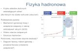 Fizyka hadronowa - users.uj.edu.plusers.uj.edu.pl/~salabura/Fizjad/prace_magiserskie_2017.pdf · Fizyka hadronowa • Fizyka układów złożonych oddziałujących silnie! (dla których