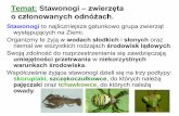 Temat: Stawonogi zwierzęta o członowanych odnóżach.parafia-dziwiszow.eu/biologia/klII/13.pdf · Stawonogi to najliczniejsza gatunkowo grupa zwierząt występujących na Ziemi.