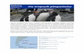 Na tropach pingwinów - Selma Expeditions · To najliczniejsza na świecie kolonia tych ptaków. Moż-na tu spotkać ich różne gatunki m.in.: pingwiny kró-lewskie i Macaroni. Surowy