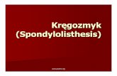 Kr ęgozmyk (Spondylolisthesis) - fizjoterapeutom.pl™gozmyk.pdf · W patogenezie przyjmuje si ę dzisiaj, że nie jest to wada wrodzona i że liza nigdy nie wyst ępuje u noworodka.