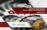 01 Przemys‚ motoryzacyjny w Polsce Przemys‚ motoryzacyjny ...awia...  powy¼ej3,5t) dominuje