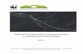 Pozyskanie drewna w nadleśnictwach bieszczadzkichprzyrodnicze.org/wp-content/uploads/2017/01/raport___drogi... · Rozbudowa dróg leśnych i pozyskanie drewna w nadleśnictwach bieszczadzkich