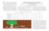 P Bezinwazyjny pomiar wytrzymałości pnia drzewa w gruncie · mm mierzy się rozciąganie lub ściskanie najbardziej zewnętrznych warstw drewna pnia. Podczas pomiaru na ogół nie