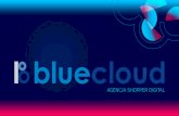 AGENCJA SHOPPER DIGITAL - blue-cloud.pl · komercyjnego klienta. PROGRAMATIC Precyzja targetowania. System idealny do działań w kanale mobile. Coraz częściej korzystający z technologii