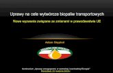 Uprawy na cele wytwórcze biopaliw transportowych Stępień - KIB. Uprawy... · Wykorzystanie mocy produkcyjnych Wytwórcy bioetanolu 12 739,08 mln l 180,54 mln l 24,43% (584,61 tys.